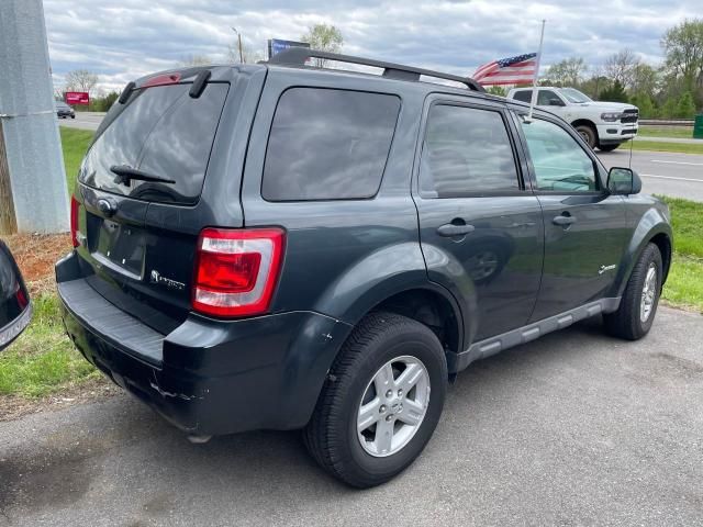 2009 Ford Escape Hybrid