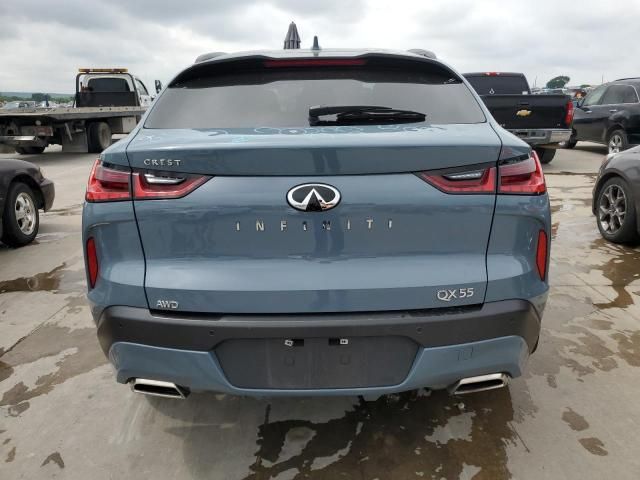 2023 Infiniti QX55 Luxe