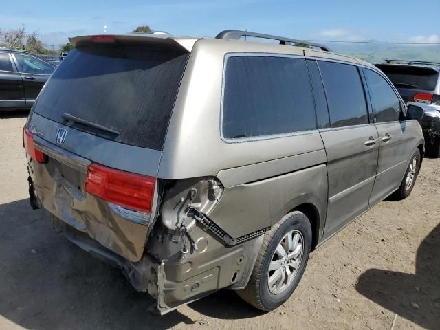 2009 Honda Odyssey EXL