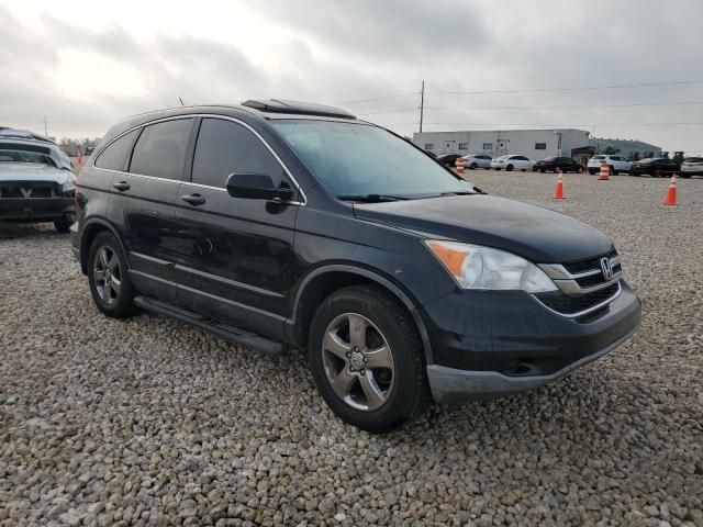 2010 Honda CR-V EXL