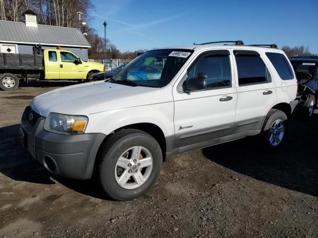 2005 Ford Escape HEV