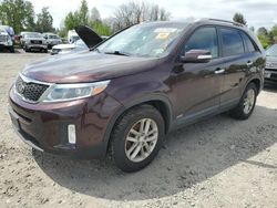 Salvage cars for sale from Copart Portland, OR: 2014 KIA Sorento LX