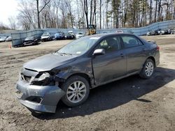 Salvage cars for sale from Copart Center Rutland, VT: 2009 Toyota Corolla Base