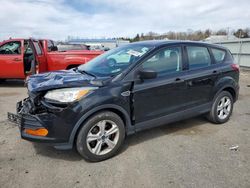 Ford Escape S salvage cars for sale: 2015 Ford Escape S