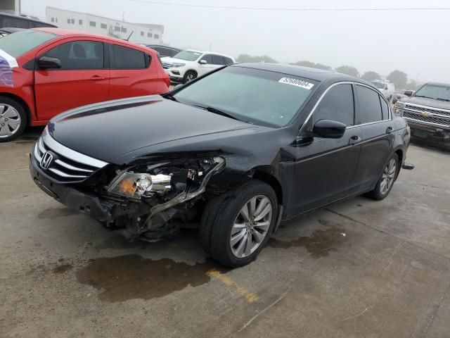 2011 Honda Accord EXL