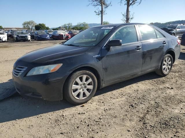 2008 Toyota Camry Hybrid