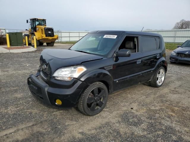 2010 KIA Soul +