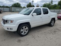 Salvage cars for sale from Copart Midway, FL: 2014 Honda Ridgeline RTL