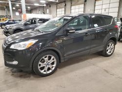 Salvage cars for sale from Copart Blaine, MN: 2013 Ford Escape SEL
