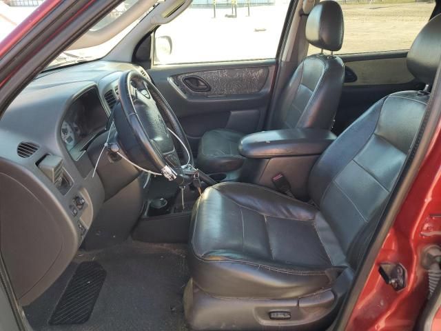 2004 Ford Escape XLT