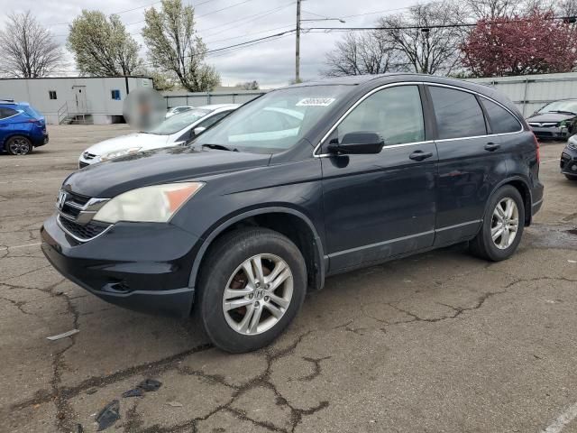 2010 Honda CR-V EXL