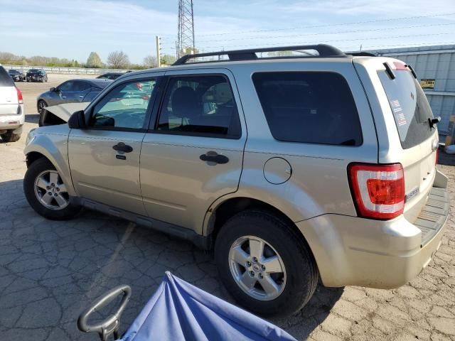 2010 Ford Escape XLT