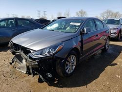 Salvage cars for sale from Copart Elgin, IL: 2019 Hyundai Sonata SE