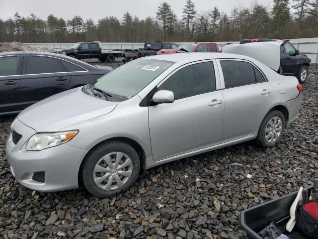 2010 Toyota Corolla Base