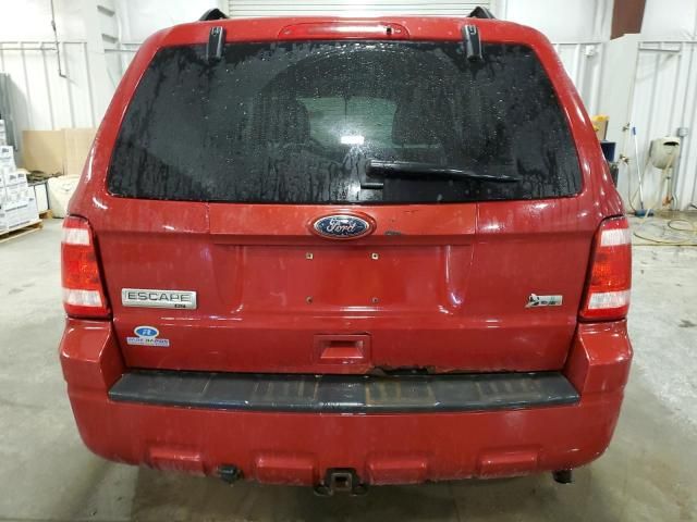 2010 Ford Escape XLT