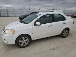 Salvage cars for sale from Copart Nisku, AB: 2009 Pontiac G3 Wave SE