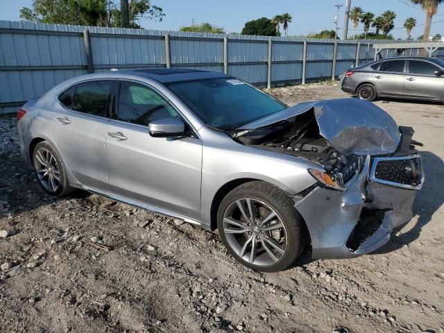 2019 Acura TLX Advance