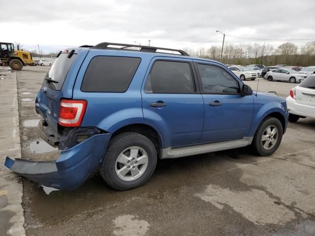 2010 Ford Escape XLT