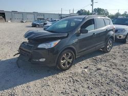 Salvage cars for sale from Copart Montgomery, AL: 2014 Ford Escape SE