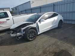 Salvage cars for sale from Copart Vallejo, CA: 2020 Tesla Model 3