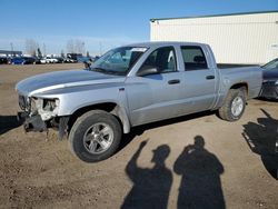 Salvage trucks for sale at Rocky View County, AB auction: 2010 Dodge Dakota SXT