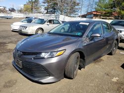 Toyota Camry LE salvage cars for sale: 2019 Toyota Camry LE