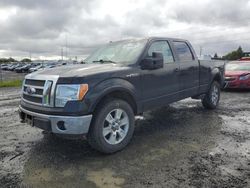 Salvage cars for sale at Eugene, OR auction: 2010 Ford F150 Supercrew