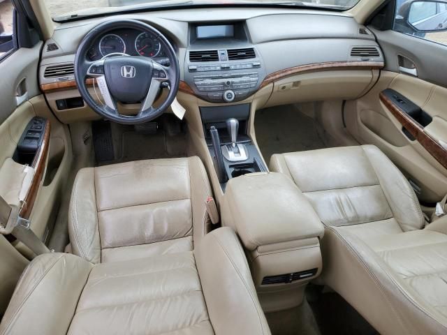 2010 Honda Accord EXL