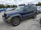 2006 Jeep Liberty Renegade