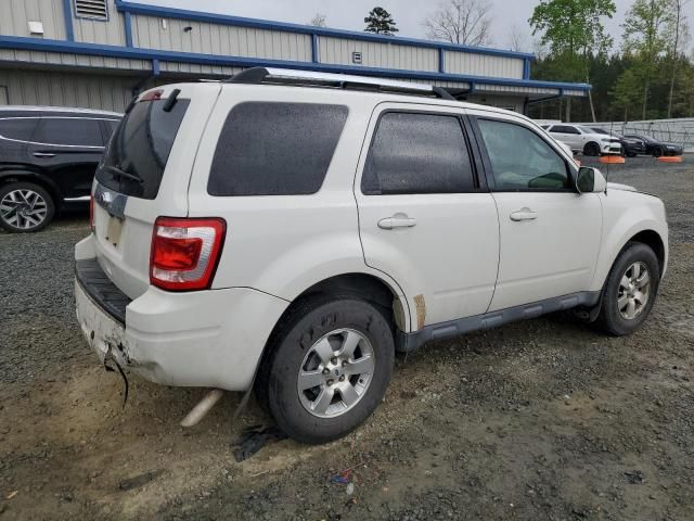 2010 Ford Escape Limited