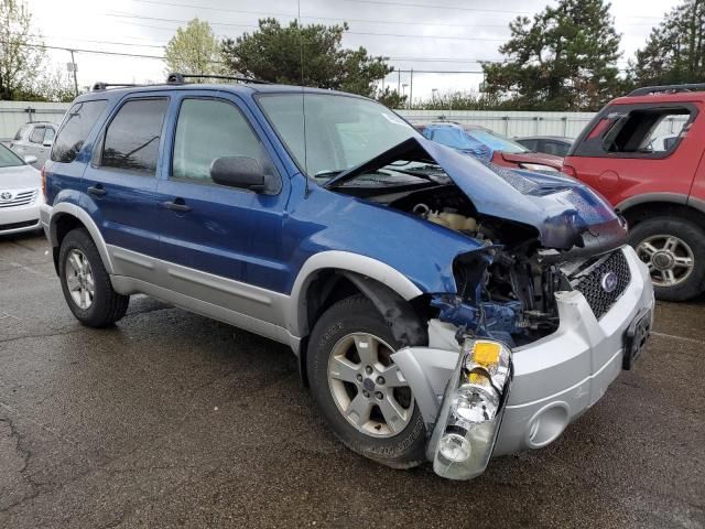 2007 Ford Escape XLT