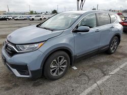 Salvage cars for sale from Copart Van Nuys, CA: 2020 Honda CR-V EXL