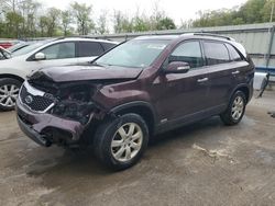 Salvage cars for sale at Ellwood City, PA auction: 2011 KIA Sorento Base