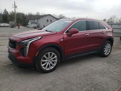Salvage cars for sale at York Haven, PA auction: 2019 Cadillac XT4 Luxury