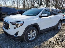 Salvage cars for sale at Candia, NH auction: 2021 GMC Terrain SLE