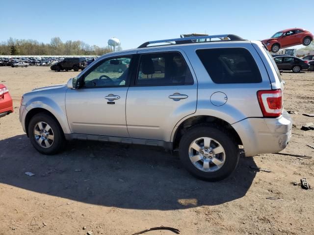 2011 Ford Escape Limited