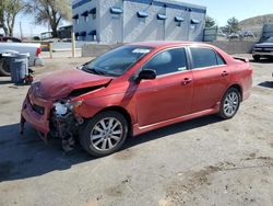 Salvage cars for sale at Albuquerque, NM auction: 2010 Toyota Corolla Base