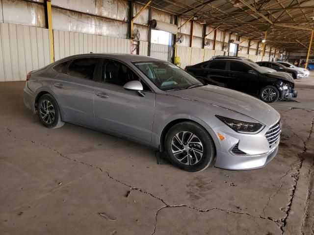 2023 Hyundai Sonata Hybrid