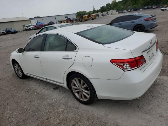 2010 Lexus ES 350