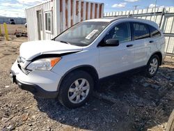 Honda cr-v ex salvage cars for sale: 2007 Honda CR-V EX