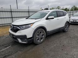 Salvage cars for sale at Lumberton, NC auction: 2020 Honda CR-V EXL