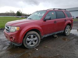 Ford Escape salvage cars for sale: 2010 Ford Escape XLT