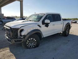 Salvage cars for sale from Copart West Palm Beach, FL: 2019 Ford F150 Raptor