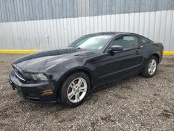 Salvage cars for sale at Greenwell Springs, LA auction: 2013 Ford Mustang