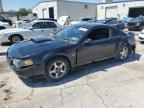 2001 Ford Mustang GT