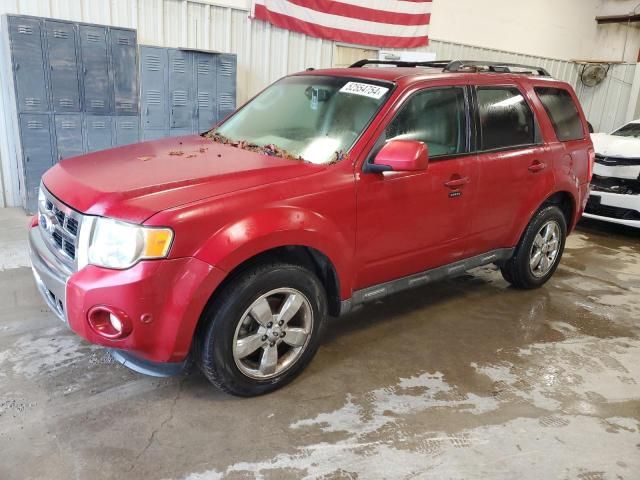 2010 Ford Escape Limited