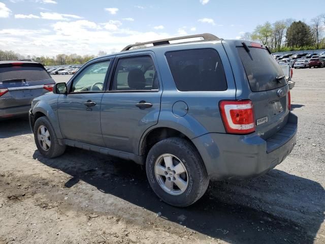 2010 Ford Escape XLT