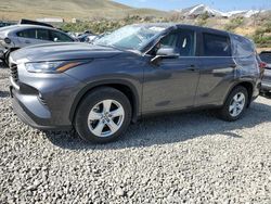 Salvage cars for sale at Reno, NV auction: 2023 Toyota Highlander L