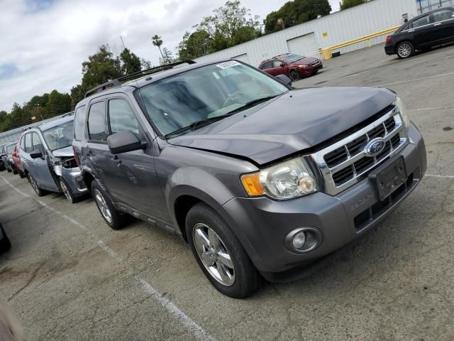 2009 Ford Escape XLT