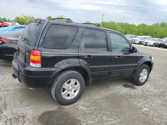 2007 Ford Escape Limited